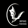 undefined Bat Radio PSKD Indonesia