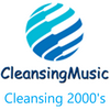 undefined Cleansing 2000's