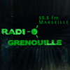 undefined Radio Grenouille 88.8