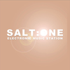 undefined salt-one