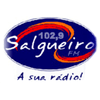 undefined Rádio Salgueiro 102.9 FM