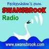 undefined Swansbrook Radio