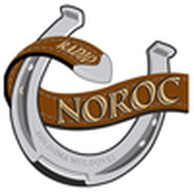 Rádio Radio Noroc