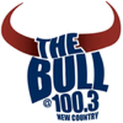 Rádio The Bull 100.3 FM