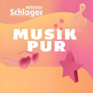 Ouça Antenne Schlager - Musik pur na aplicação