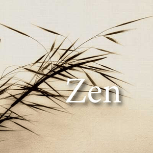 Ouça CALM RADIO - Zen na aplicação