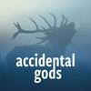 undefined Accidental Gods