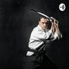 undefined Aikido