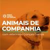 undefined Animais de Companhia