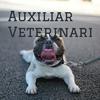 undefined Auxiliar Veterinaria