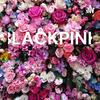 undefined BLACKPINK