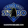 undefined Doctor Who: Radio Free Skaro