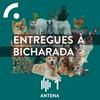 undefined Entregues à Bicharada