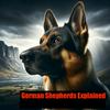 undefined German Shepherds - Explained