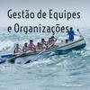 undefined Gestão de Equipes e Organizações