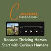 undefined Curious Equestrian