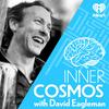 undefined Inner Cosmos with David Eagleman