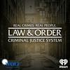 undefined Law & Order: Criminal Justice System