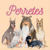 undefined Perretes | Las razas de perros