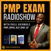 undefined PMP Exam Radioshow 
(Project Management)