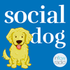 undefined Social Dog