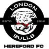 undefined The London Bulls Podcast