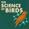 undefined The Science of Birds