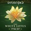 undefined The White Lotus: Recap Podcast הלוטוס הלבן: יומן צפייה