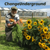 undefined ChangeUnderground