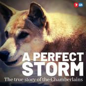 Podcast A Perfect Storm: The True Story of The Chamberlains