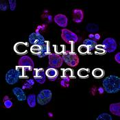 Podcast Células Tronco