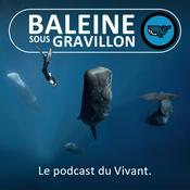 Podcast Baleine sous Gravillon