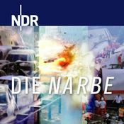 Podcast Die Narbe: Was Unglücke mit uns machen