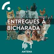 Podcast Entregues à Bicharada