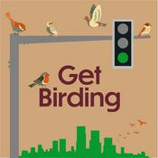 Podcast Get Birding