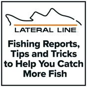 Podcast Fishing Reports by Lateral Line Fishing Journal