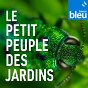 Podcast Le petit peuple des jardins