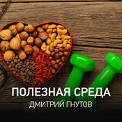 Podcast Полезная среда | Дмитрий Гнутов