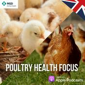 Podcast Poultry Health Focus