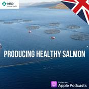 Podcast Producing Healthy Salmon