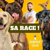 Podcast Sa Race !