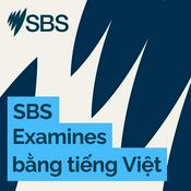 Podcast SBS Examines bằng tiếng Việt