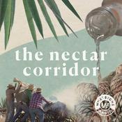 Podcast The Nectar Corridor