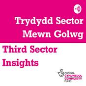 Podcast Third Sector Insights / Trydydd Sector Mewn Golwg