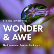 Podcast Wonder And Awe