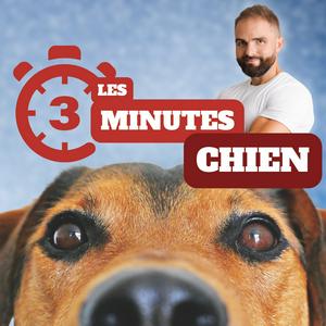 Ouça 3 minutes chiens na aplicação