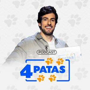 Ouça 4 Patas na aplicação