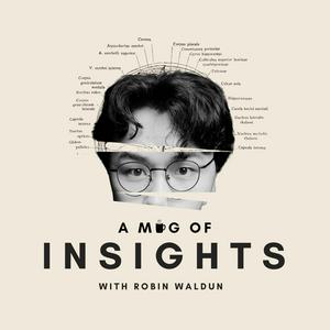 Ouça A Mug of Insights na aplicação