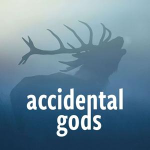 Ouça Accidental Gods na aplicação