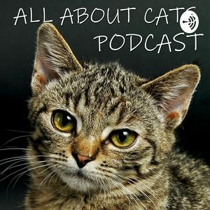 Ouça All About Cats Podcast na aplicação